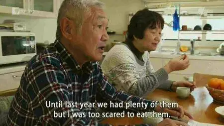 SBS - Dateline: Japan Coming Home to a Nuclear Wasteland (2017)