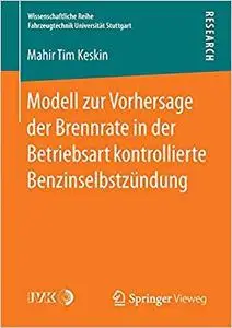 Modell zur Vorhersage der Brennrate in der Betriebsart kontrollierte Benzinselbstzündung