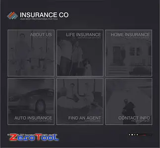 FlashMint 2112 Insurance flash template
