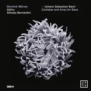 Alfredo Bernardini, Zefiro & Dominik Wörner - Bach: Cantatas and Arias for Bass (2019)
