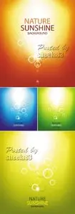Nature Sunshine Backgrounds Vector