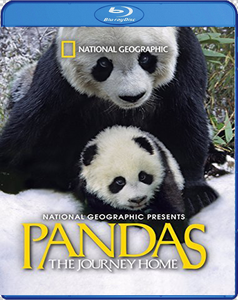  Pandas: The Journey Home (2014) 
