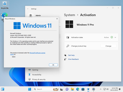 Windows 11 Pro 22H2 Build 22621.2428 (No TPM Required) Preactivated Multilingual October 2023