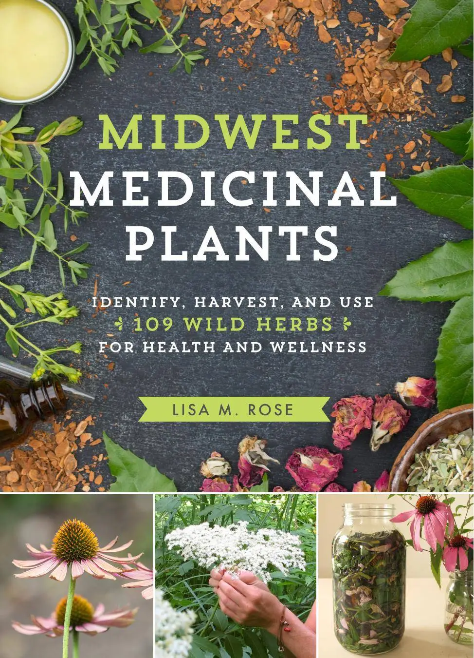 Midwest Medicinal Plants: Identify, Harvest, and Use 109 Wild Herbs for ...