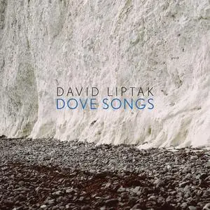 David Liptak & VA - David Liptak: Dove Songs (2019)