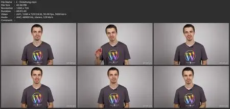 Die Wordpress Rest Api