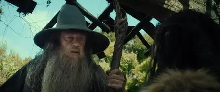 The Hobbit: An Unexpected Journey (2012)