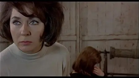 The Red Desert (1964)