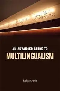 An Introduction to Multilingualism: An Advanced Guide to Multilingualism