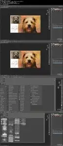 Udemy – Digital Pet Paintings Using Photoshop