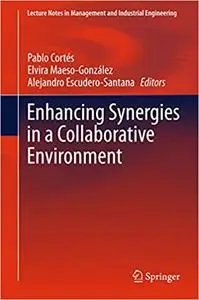 Enhancing Synergies in a Collaborative Environment (Repost)
