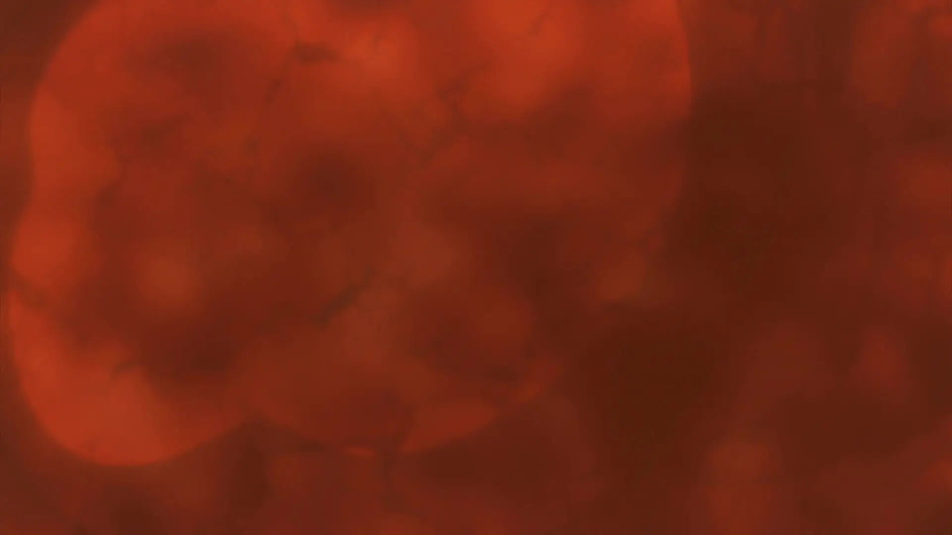 A I C O Incarnation BD BOX TV SP A I C O Incarnation 08 (BD 1920x1080 x 264 FLACx2 mkv" yEnc