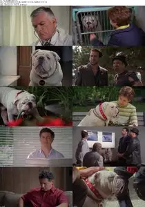 The Dogfather (2010)