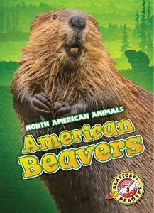 American Beavers (North American Animals: Blastoff! Readers, Level 3)