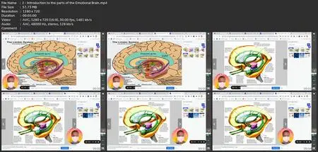 The Emotional Brain