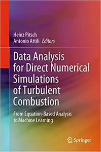 Data Analysis for Direct Numerical Simulations of Turbulent Combustion: From Equation-Based Analysis to Machine Learning