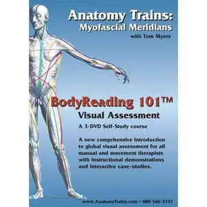 BodyReading 101 - Tom Myers