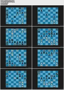 Roman's Lab Vol. 55 - A Tribute to Bobby Fischer