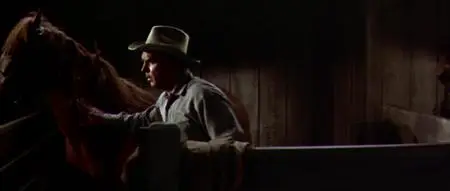 Gun for a Coward (1957)