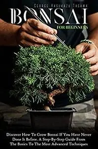 Bonsai For Beginners: Discover How To Grow Bonsai If You Have Never Done It Before