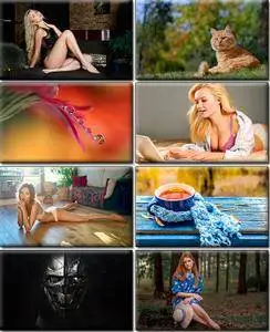 LIFEstyle News MiXture Images. Wallpapers Part (1299)