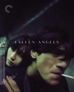 World of Wong Kar Wai: Fallen Angels / Do lok tin si (1995) [Criterion Collection]