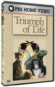 PBS - Triumph of Life: The Eternal Arms Race (2009)