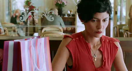 De vrais mensonges (2010)