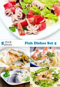 Photos - Fish Dishes Set 5