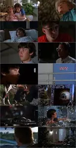 Flight of the Navigator (1986)