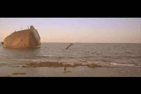 Siren (2010) 