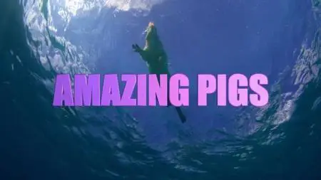 Smithsonian Ch. - Amazing Pigs (2018)