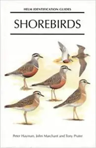 Shorebirds: Identification Guide to the Waders of the World