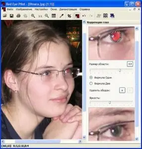 Red Eye Pilot 3.4.1 Portable