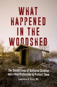 What Happened in the Woodshed : The Secret Lives of Battered Children and a New Profession to Protect Them