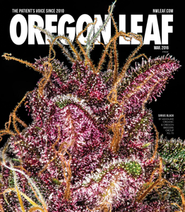 Oregon Leaf - March 2016