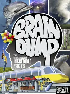 How It Works Brain Dump - Issue 028, 2015