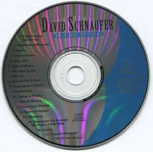 David Schnaufer - Dulcimer Sessions (1992)