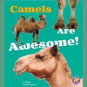 «Camels Are Awesome!» by Allan Morey