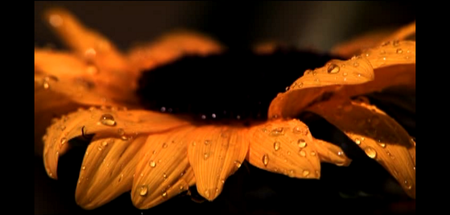 God of Wonders (2009)