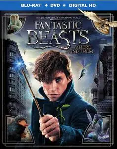 Fantastic Beasts and Where to Find Them (2016)