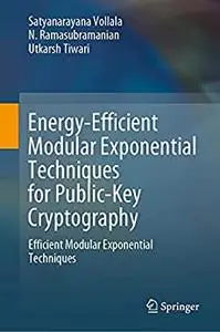 Energy-Efficient Modular Exponential Techniques for Public-Key Cryptography