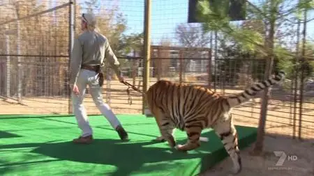 Tiger King: What Really Went Down (2020)
