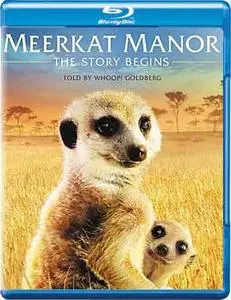 Meerkat Manor: The Story Begins (2008)