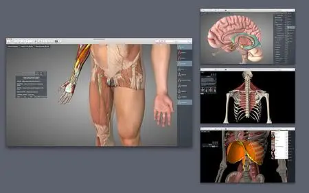 Essential Anatomy v5.0.5 macOS