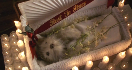 Scenes from the Class Struggle in Beverly Hills (1989)