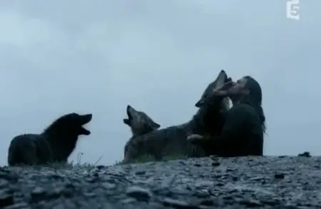 (Fr5) L'homme-loup (2011)