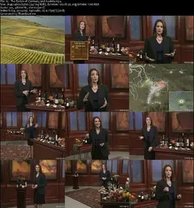TTC VIDEO - The Everyday Guide to Wine (2010)