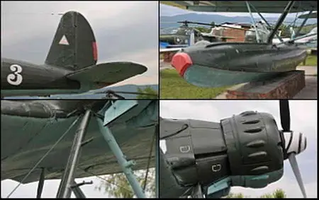 Arado Ar 196 Walk Around