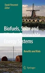 Biofuels, Solar and Wind as Renewable Energy Systems: Benefits and Risks